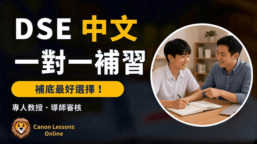 DSE中文 一對一補習