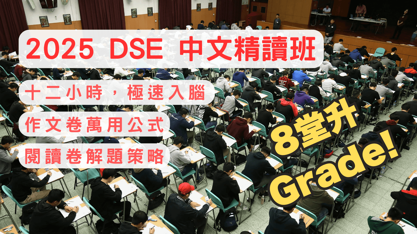 DSE中文補習