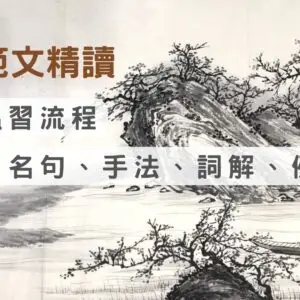 DSE 十六篇範文精讀