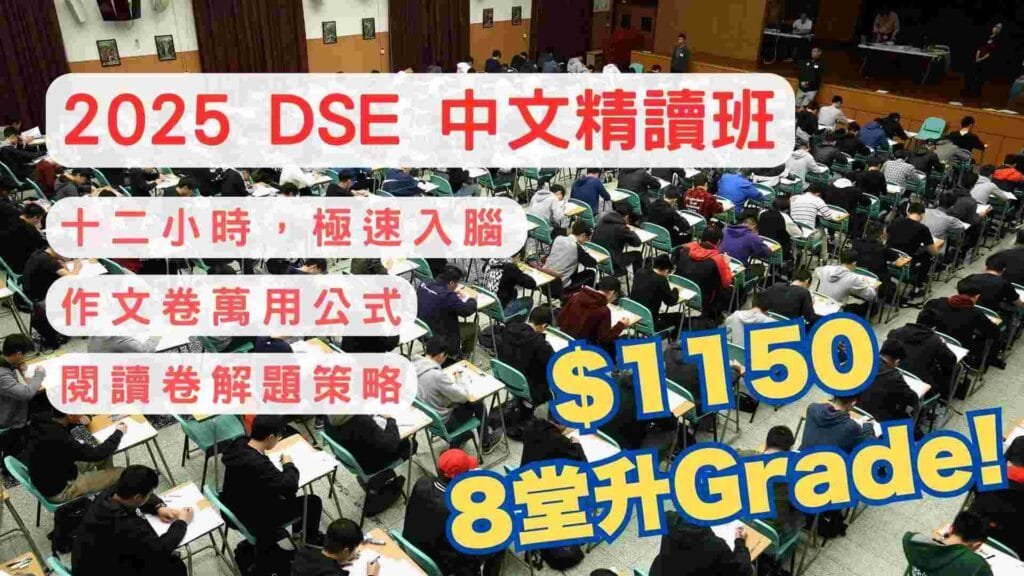 DSE中文應試精讀班