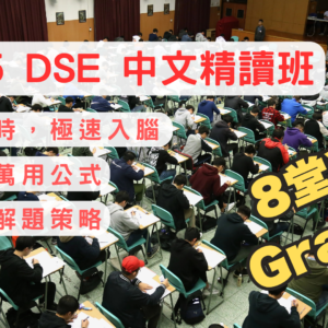 DSE中文