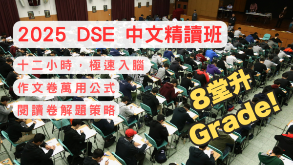 DSE中文