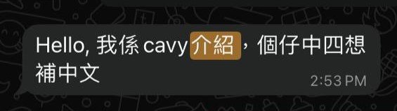 DSE 中文補習 16 2314f0a4 aa7e 41d2 aeed 0ca6f1869aae