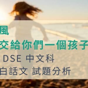 2013 DSE 閱讀理解