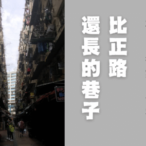 我們都曾以為自己會是小說的主人公