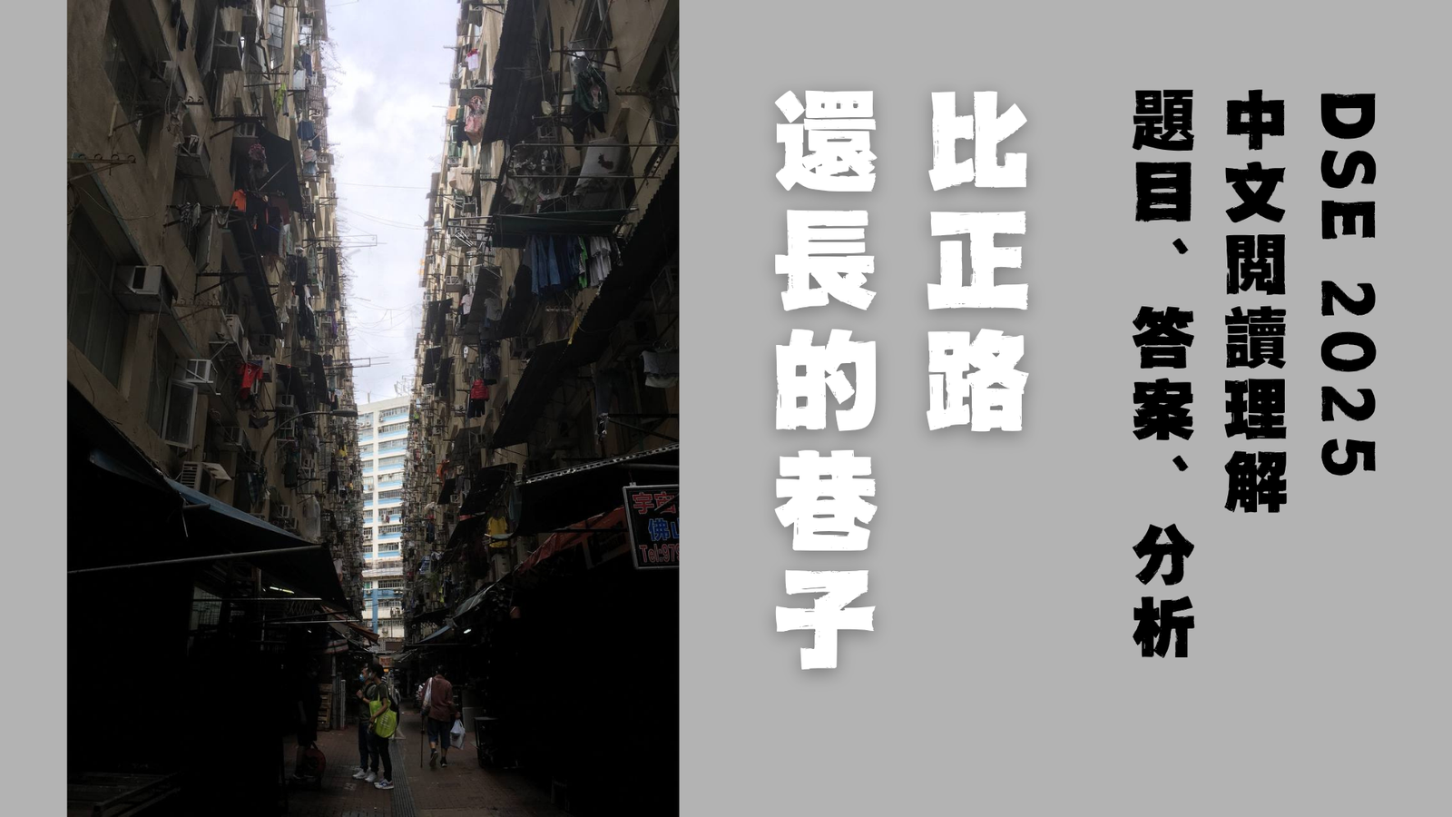 2025 DSE 中文科 閱讀理解 蔣方舟〈我們都曾以為自己會是小說的主人公〉、柯裕棻〈比正路還長的巷子〉解題