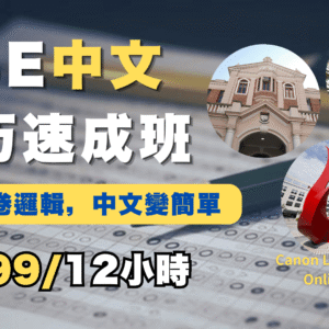 DSE中文 技巧速成班